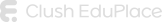 BizMicro